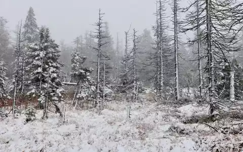 Auch auf dem Brocken hat es geschneit. (Foto Aktuell vom 17.11.) - Foto: Matthias Bein/dpa