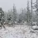 Auch auf dem Brocken hat es geschneit. (Foto Aktuell vom 17.11.) - Bild: Matthias Bein/dpa