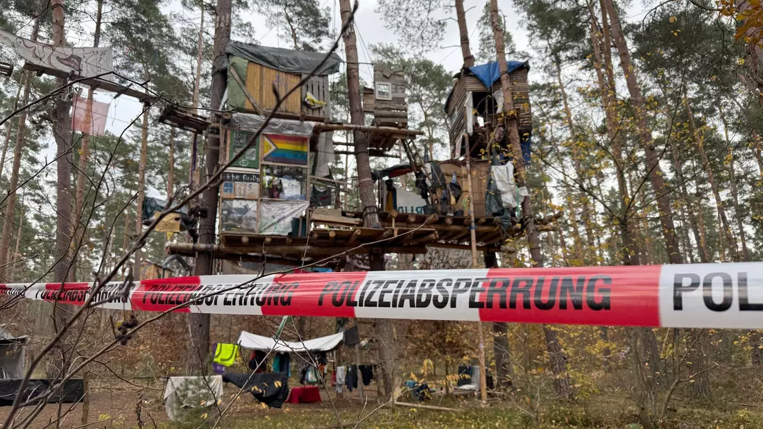 Polizeikräfte sichern das Waldgebiet hinter einer Absperrung. Umweltaktivisten, die gegen Tesla protestieren, müssen ihr Camp räumen.  - Bild: Lutz Deckwerth/dpa