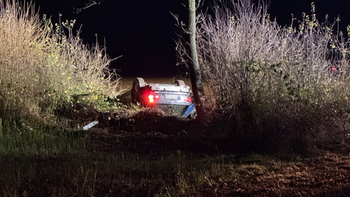 FW-SE: Schwerer Verkehrsunfall mit einem beteiligten Personenkraftwagen - Foto: presseportal.de