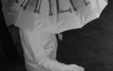 POL-Lebach: Versuchter Raubüberfall auf ein Wettbüro in Schmelz - Foto: presseportal.de