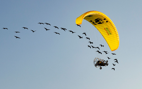 Teile der Strecke mussten die seltenen Vögel auch im Auto zurücklegen. - Foto: Gunnar Hartmann/Waldrappteam Conservation and Research/dpa