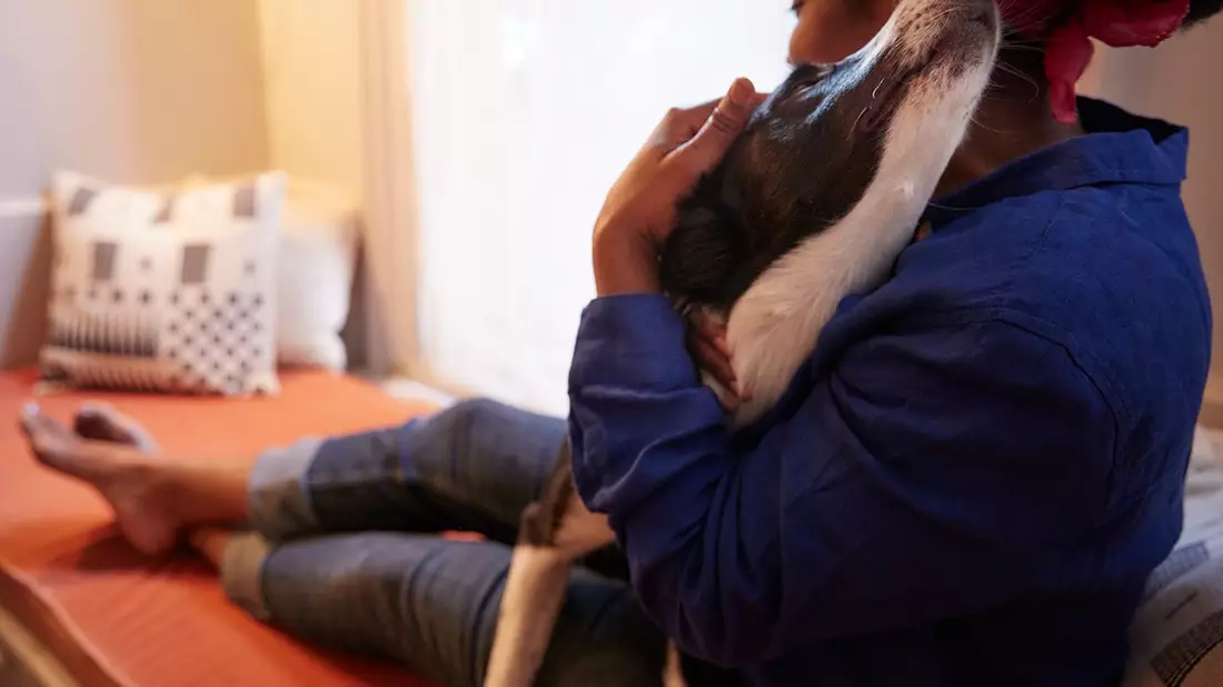 All I want for Christmas is you! Warum Hund lieber Hund bleiben sollte - Bild: presseportal.de