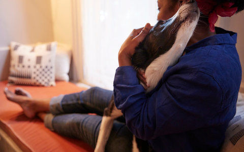 All I want for Christmas is you! Warum Hund lieber Hund bleiben sollte - Foto: presseportal.de