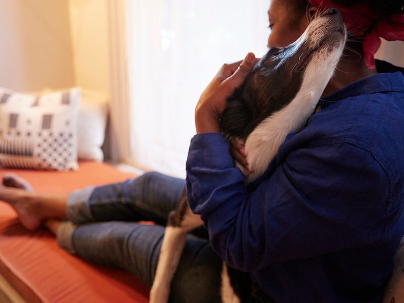 All I want for Christmas is you! Warum Hund lieber Hund bleiben sollte - Foto: presseportal.de