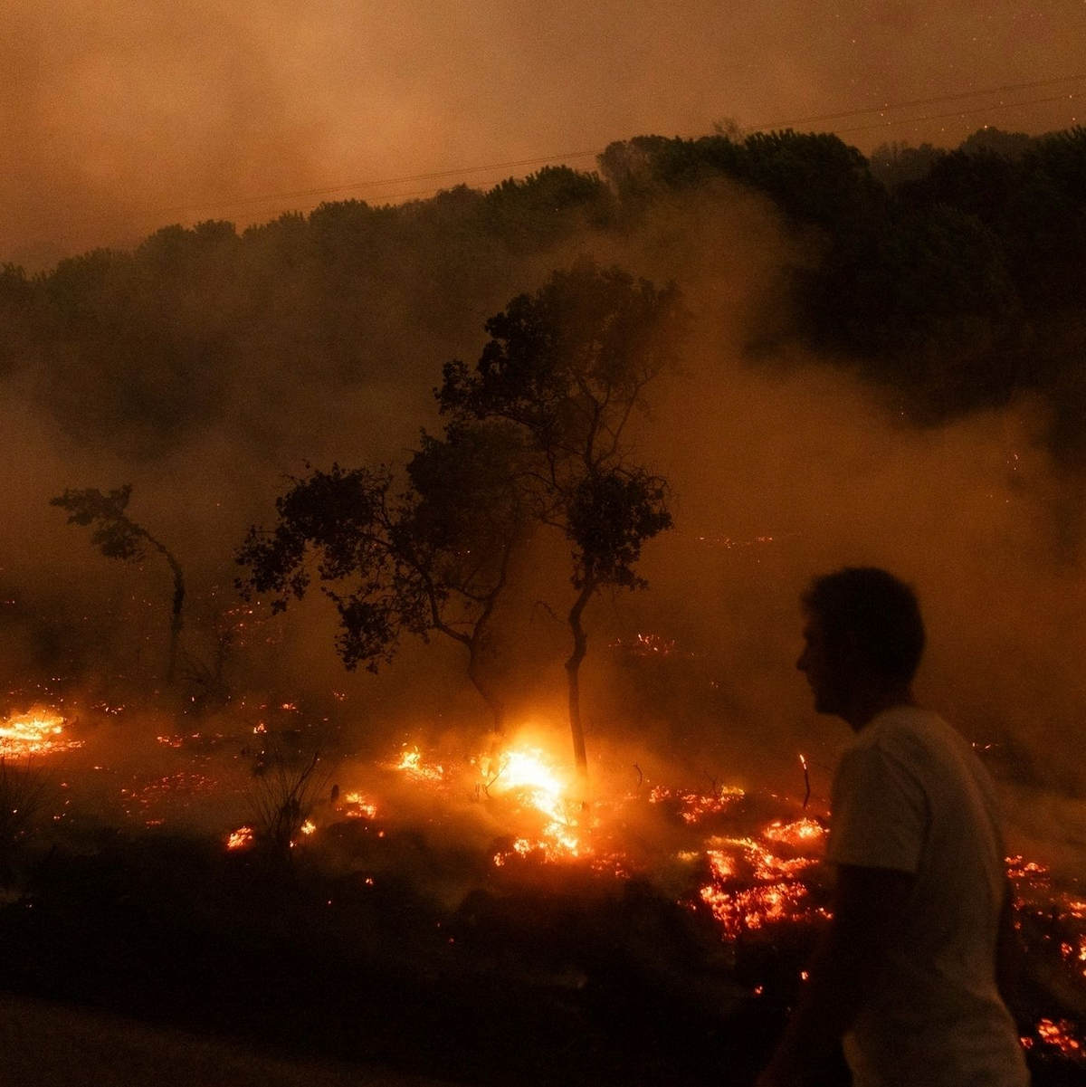 Der Waldbrand in der Nähe der griechischen Stadt Alexandroupolis im Jahr 2023 war der größte bisher registrierte Brand in Europa. (Archivbild) - Foto: Achilleas Chiras/AP/dpa