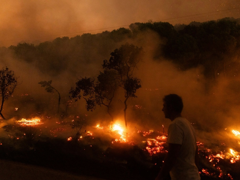 Der Waldbrand in der Nähe der griechischen Stadt Alexandroupolis im Jahr 2023 war der größte bisher registrierte Brand in Europa. (Archivbild) - Foto: Achilleas Chiras/AP/dpa