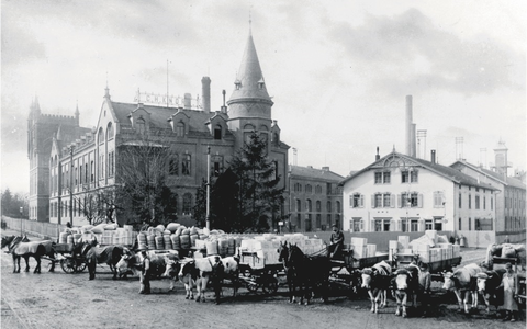 Erfindung made in Germany: Wie der Knorr-Brühwürfel die Welt erobert - Foto: presseportal.de
