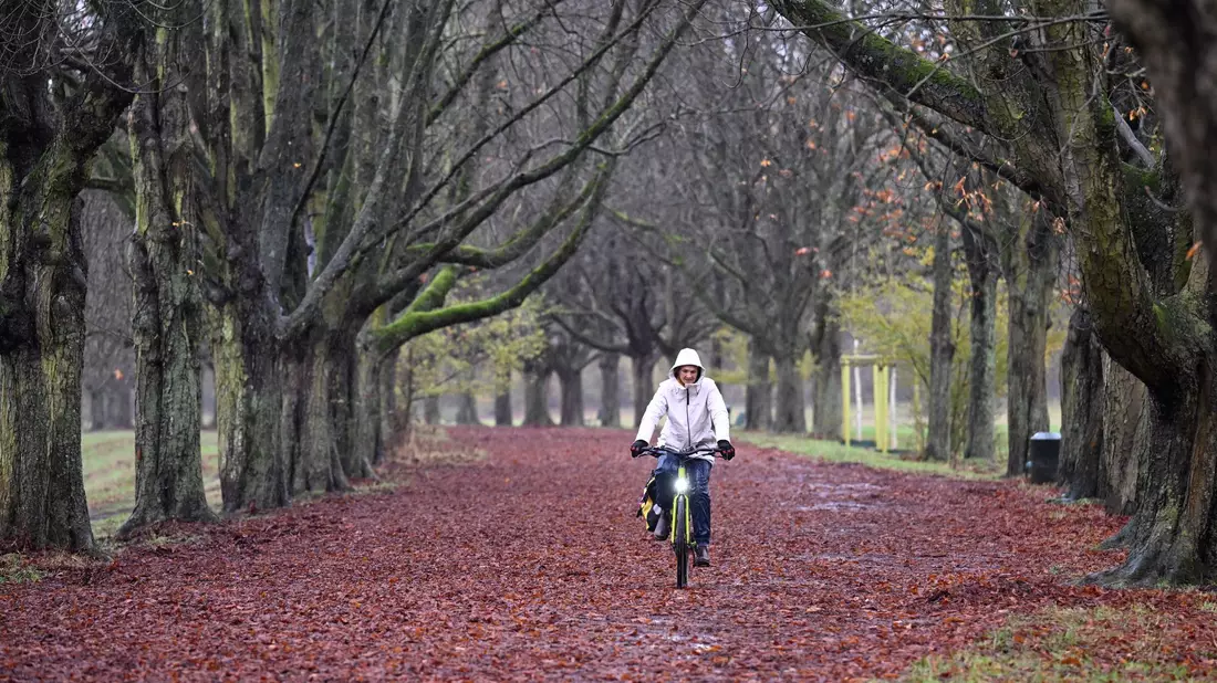 Der Regenschirm könnte auch in den kommenden Tagen ein guter Begleiter sein. - Bild: Roberto Pfeil/dpa