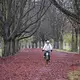 Der Regenschirm könnte auch in den kommenden Tagen ein guter Begleiter sein. - Bild: Roberto Pfeil/dpa