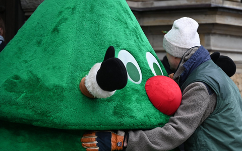 Ein Gärtner muss sich wegen Hausfriedensbruches verantworten, weil er auf einem umzäunten Kita-Gelände heimlich einen Weihnachtsbaum aufgestellt hat. Die Kita hatte sich zuvor gegen einen Baum entschieden. - Foto: Niklas Graeber/dpa