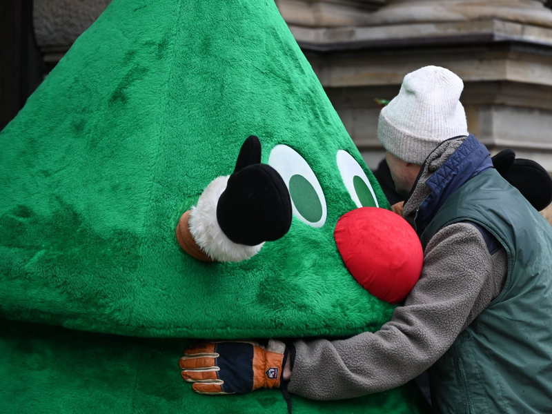 Ein Gärtner muss sich wegen Hausfriedensbruches verantworten, weil er auf einem umzäunten Kita-Gelände heimlich einen Weihnachtsbaum aufgestellt hat. Die Kita hatte sich zuvor gegen einen Baum entschieden. - Foto: Niklas Graeber/dpa