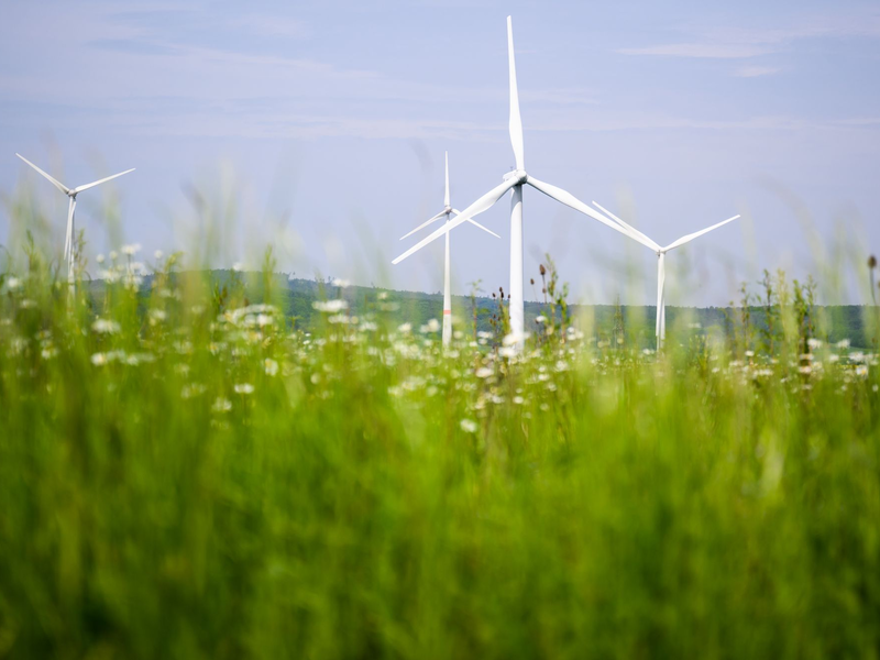 ESG-Ratings werden immer wichtiger für die Kapitalmärkte und das Vertrauen der Anleger in nachhaltige Anlageprodukte (Archivbild)  - Foto: Julian Stratenschulte/dpa