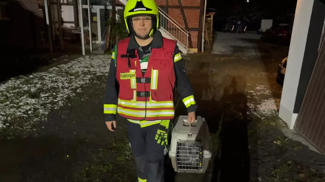 FW Flotwedel: Möglicher Kohlenmonoxidaustritt - Feuerwehr rettet zwei Katzen - Bild: presseportal.de