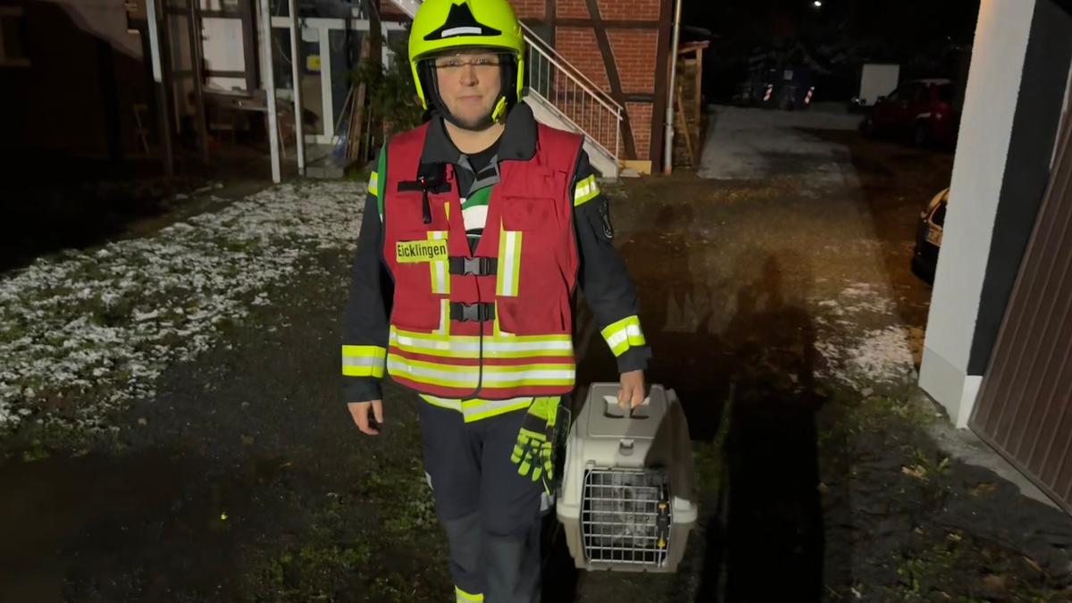 FW Flotwedel: Möglicher Kohlenmonoxidaustritt - Feuerwehr rettet zwei Katzen - Foto: presseportal.de