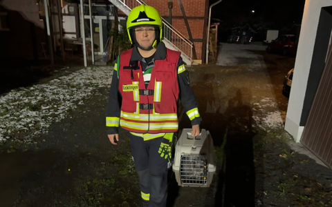 FW Flotwedel: Möglicher Kohlenmonoxidaustritt - Feuerwehr rettet zwei Katzen - Foto: presseportal.de