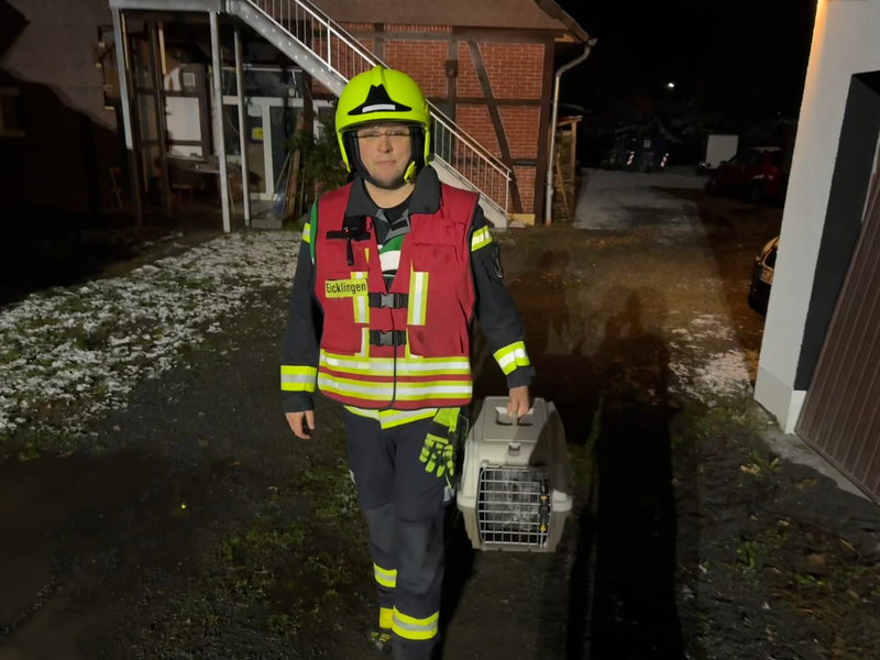 FW Flotwedel: Möglicher Kohlenmonoxidaustritt - Feuerwehr rettet zwei Katzen - Foto: presseportal.de