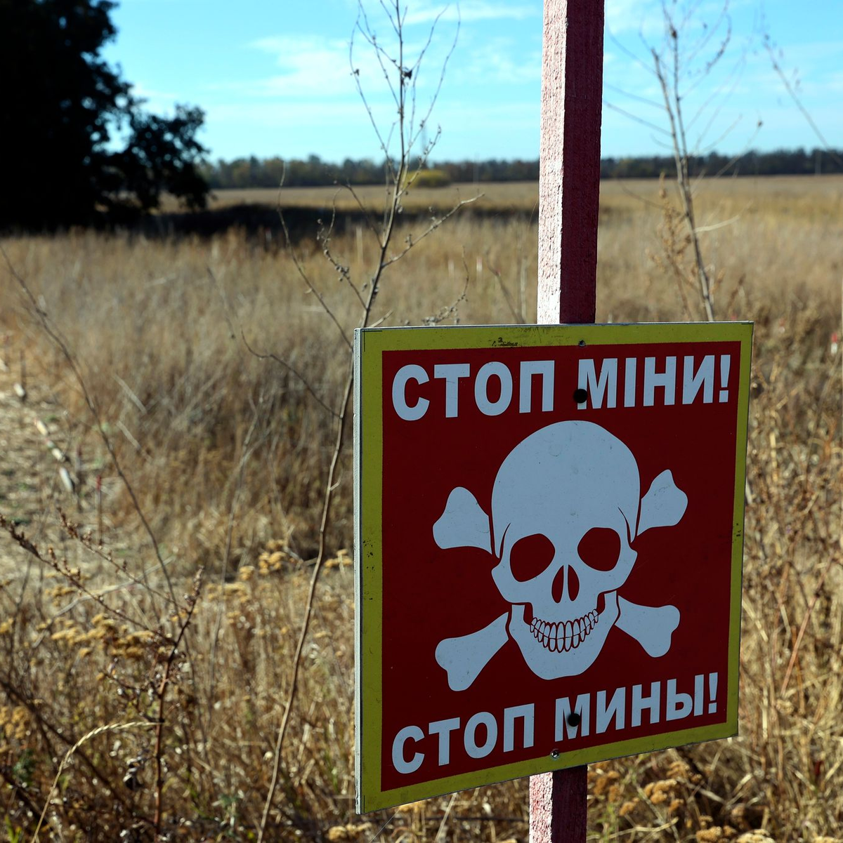 Die USA kündigen die Lieferung von Minen an. (Archivbild) - Foto: -/Ukrinform/dpa