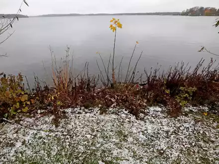 Für diesen Mittwoch erwarten die Meteorologen nasskaltes Schauerwetter und einzelne Graupelgewitter. - Foto: Bernd Wüstneck/dpa
