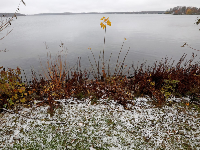 Für diesen Mittwoch erwarten die Meteorologen nasskaltes Schauerwetter und einzelne Graupelgewitter. - Foto: Bernd Wüstneck/dpa