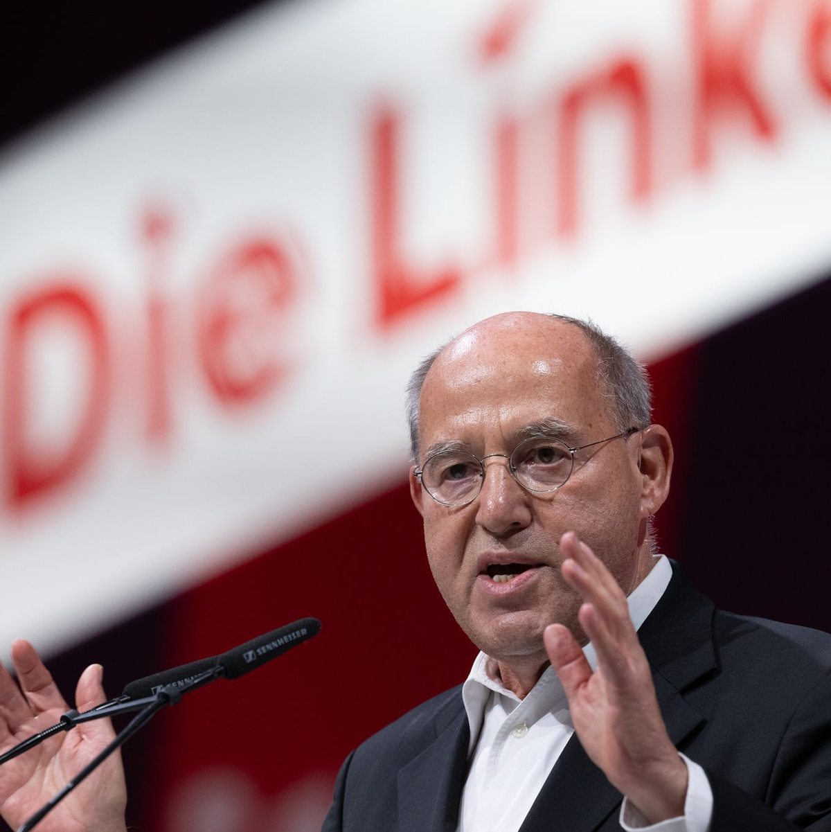 Der Linken-Bundestagsabgeordnete Gregor Gysi hatte das Projekt «Silberlocke» beim Bundesparteitag in Halle im Oktober angeregt. (Archivbild) - Foto: Hendrik Schmidt/dpa