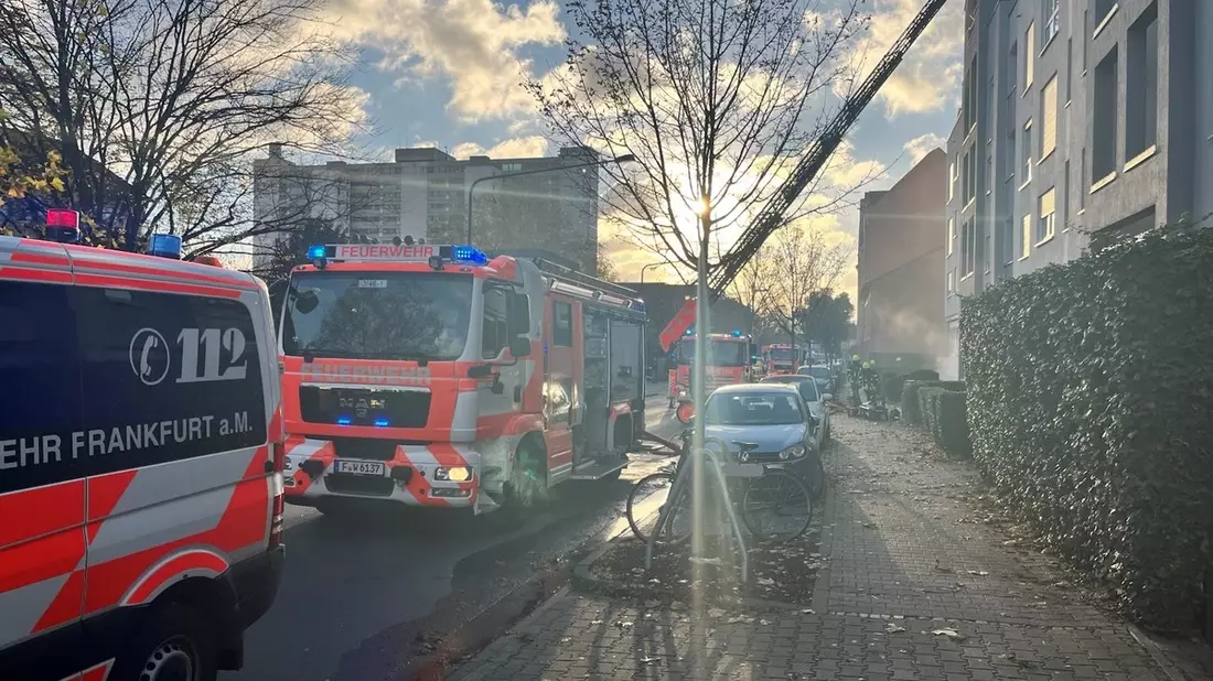 FW-F: Brand im Wohngebäudekomplex in Unterliederbach - Keine Verletzten - Bild: presseportal.de