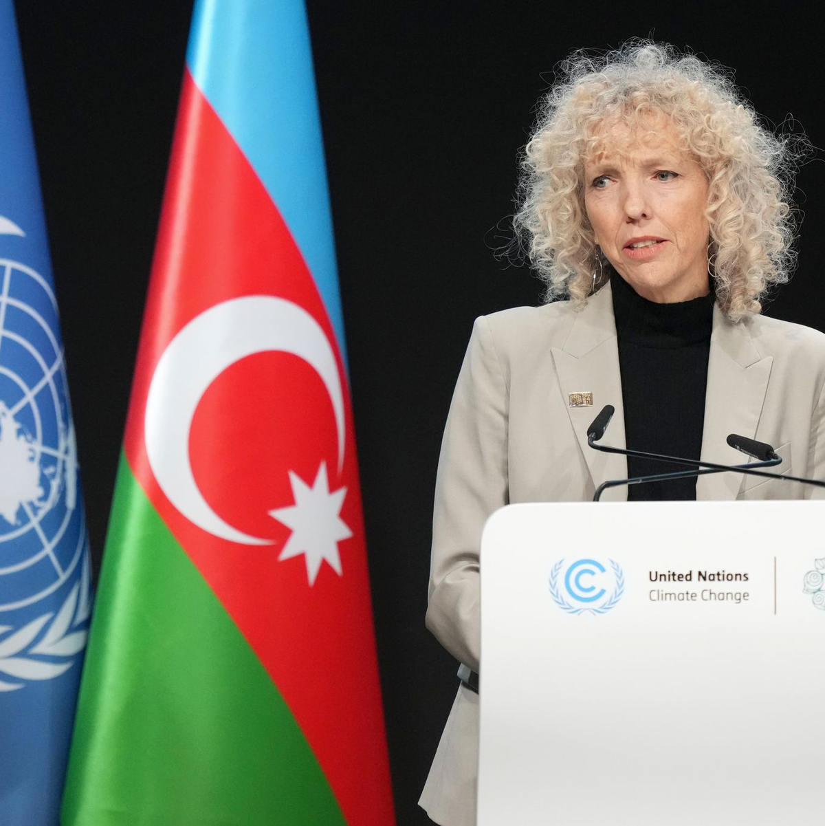 Will breite Koalitionen schmieden: Außenministerin Baerbock. - Foto: Sergei Grits/AP