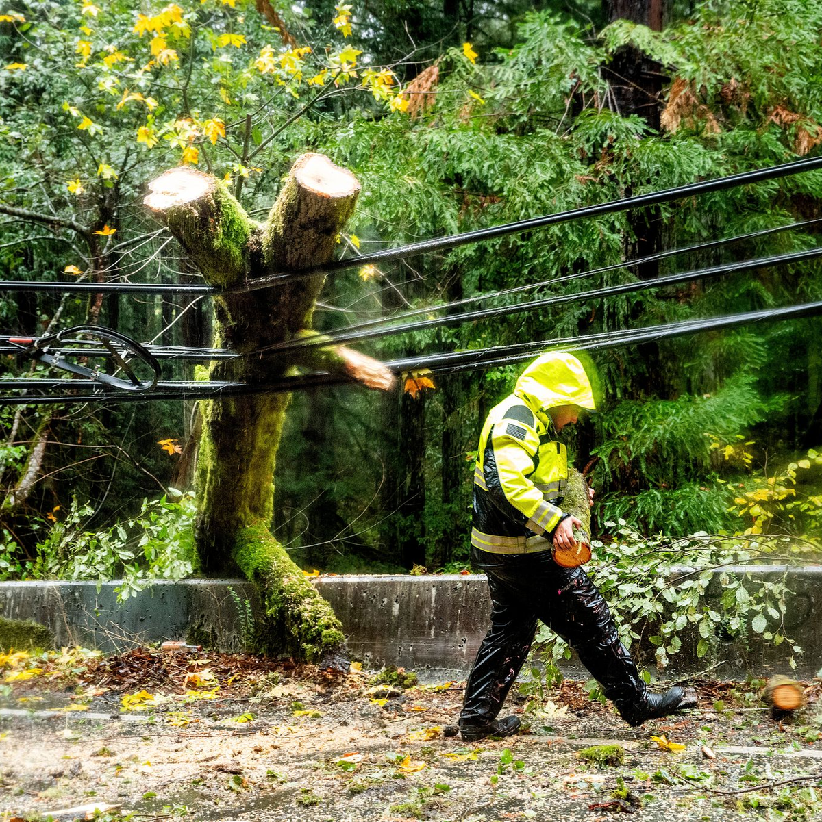 Hunderttausende Haushalte waren zeitweise ohne Strom. - Foto: Noah Berger/AP/dpa