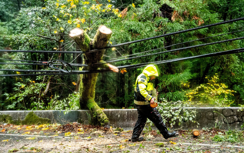 Hunderttausende Haushalte waren zeitweise ohne Strom. - Foto: Noah Berger/AP/dpa