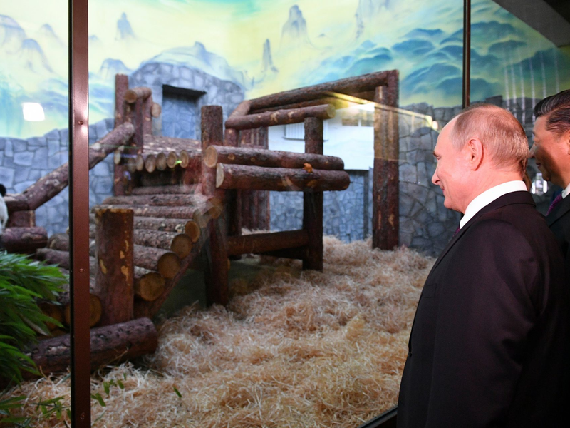 Tiere als Ausdruck freundschaftlicher Beziehungen zwischen den Ländern: Der Moskauer Zoo profitierte auch schon von dieser Art der Diplomatie - als Chinas Staats- und Parteichef Xi Jinping (rechts) Putin Pandabären schenkte. (Archivbild) - Foto: Alexander Vilf/Pool Sputnik Kremlin/AP/dpa