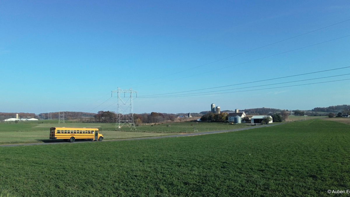 IDFA 2024: Drei ARTE-Koproduktionen ausgezeichnet - Foto: presseportal.de