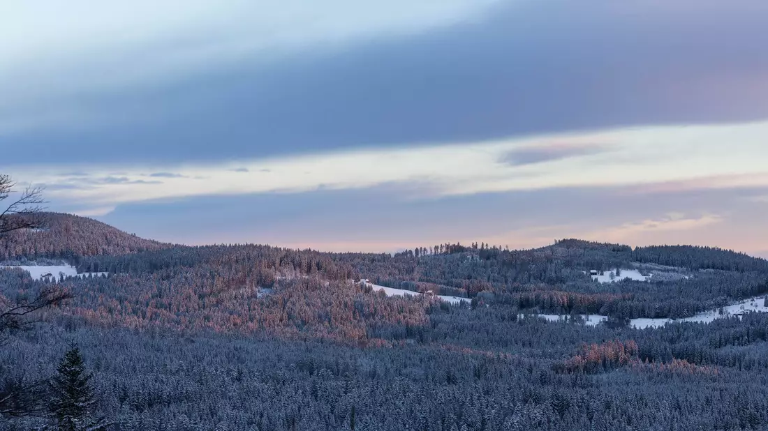 Bisher liegt noch Schnee - das kann zum Ende der Woche aber anders aussehen. - Bild: Philipp von Ditfurth/dpa