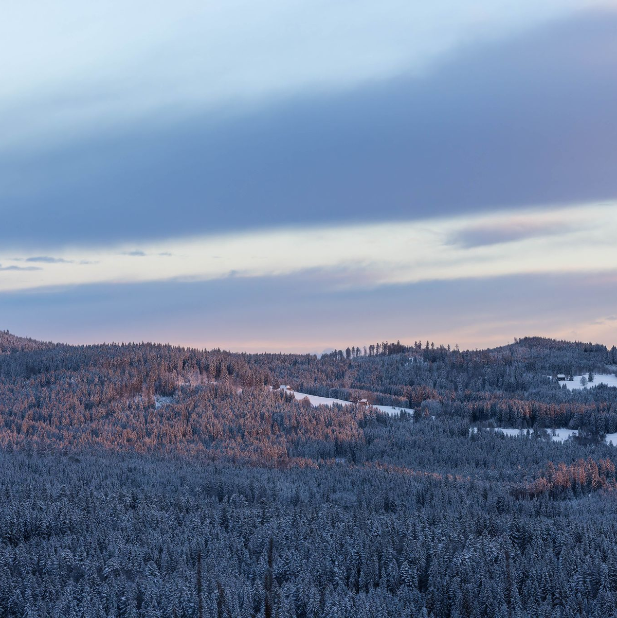 Bisher liegt noch Schnee - das kann zum Ende der Woche aber anders aussehen. - Foto: Philipp von Ditfurth/dpa