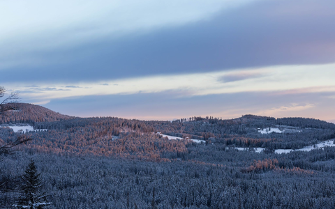 Bisher liegt noch Schnee - das kann zum Ende der Woche aber anders aussehen. - Foto: Philipp von Ditfurth/dpa