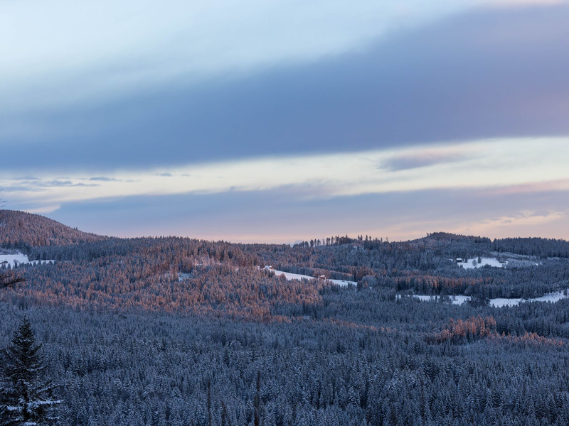 Bisher liegt noch Schnee - das kann zum Ende der Woche aber anders aussehen. - Foto: Philipp von Ditfurth/dpa