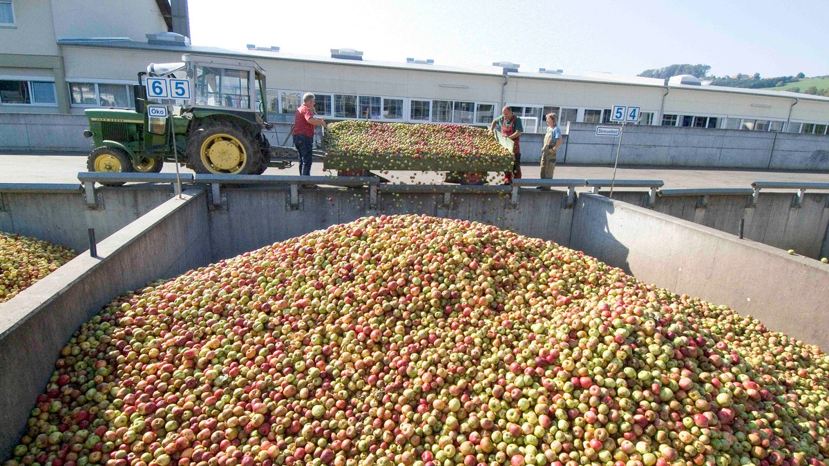 Historische Höchstpreise für Mostäpfel - Foto: presseportal.de