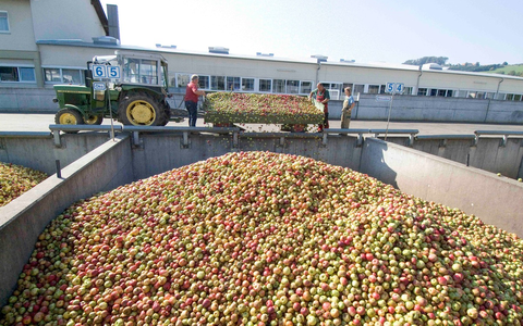 Historische Höchstpreise für Mostäpfel - Foto: presseportal.de