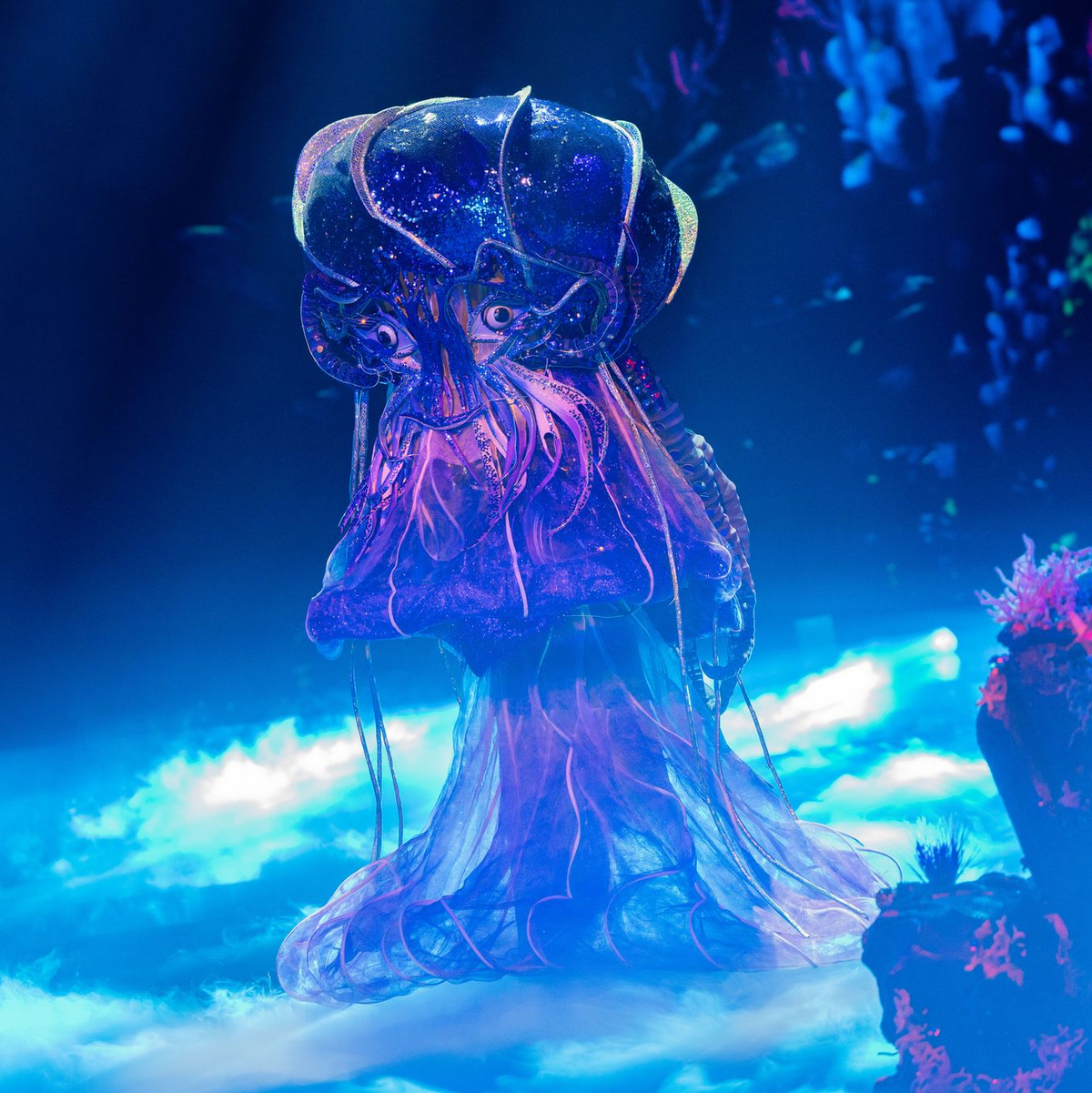 Die Jury nennt sie schon die «Queen»: Der Prominente unter dem spektakulären Quallen-Kostüm hat eine starke Stimme.  - Foto: Rolf Vennenbernd/dpa