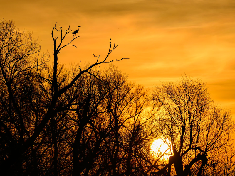 Im Laufe der Woche kommt das Herbstwetter zurück. - Foto: Patrick Pleul/dpa