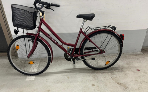 POL-DA: Otzberg: Polizei stellt Fahrräder sicher und sucht Eigentümer - Foto: presseportal.de