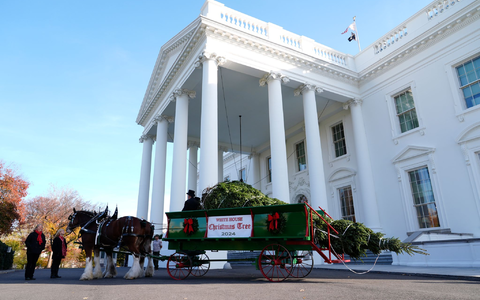 Der diesjährige Weihnachtsbaum stammt aus North Carolina.  - Foto: Susan Walsh/AP