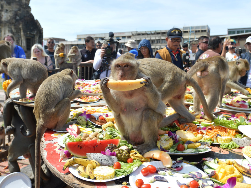 Die Affen speisen in einem alten Khmer-Tempel. - Foto: Rachen Sageamsak/XinHua/dpa