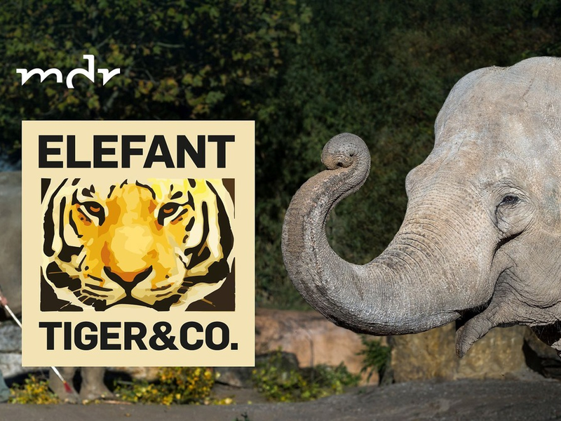 Alles auf Anfang: Alle Folgen von „Elefant, Tiger & Co.“ in der ARD Mediathek und im MDR-Fernsehen - Foto: presseportal.de