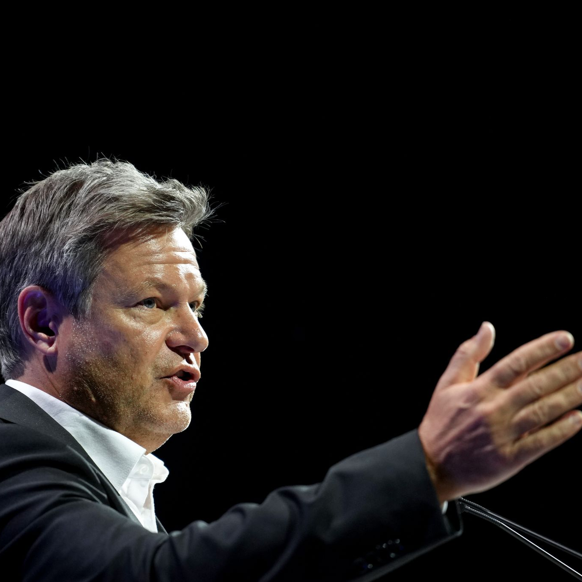  Der beste Weg wäre eine Einigung auf einen Nachtragshaushalt für das laufende Jahr, sagte Minister Habeck.  - Foto: Kay Nietfeld/dpa