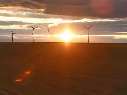 Windräder (Archiv) - Foto: über dts Nachrichtenagentur