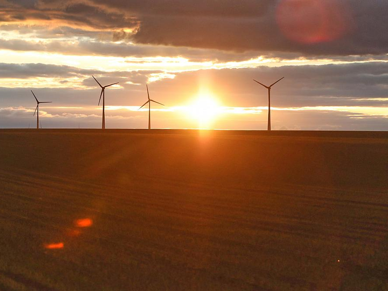 Windräder (Archiv) - Foto: über dts Nachrichtenagentur