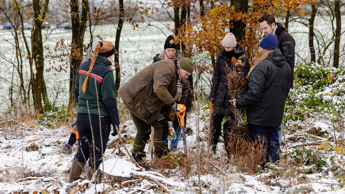 Gemeinsam für den Wald: 100 Krombacher Mitarbeitende forsten Wald wieder auf - Foto: presseportal.de