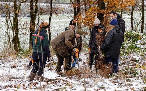 Gemeinsam für den Wald: 100 Krombacher Mitarbeitende forsten Wald wieder auf - Foto: presseportal.de