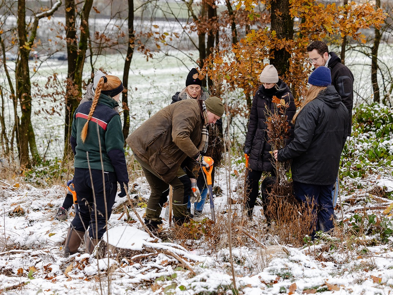 Gemeinsam für den Wald: 100 Krombacher Mitarbeitende forsten Wald wieder auf - Foto: presseportal.de