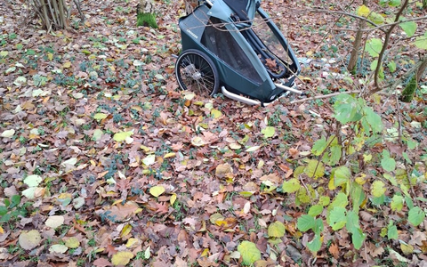 POL-NI: Croozer aufgefunden / Eigentümer gesucht - Foto: presseportal.de